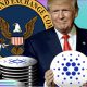 Trump Cardano